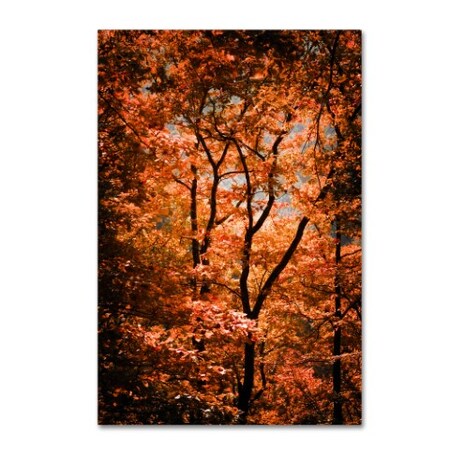 Trademark Fine Art Philippe Sainte-Laudy 'Autumn Whispers' Canvas Art, 12x19 PSL0421-C1219GG